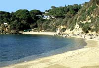 Spiaggia di Zuccale - Capoliveri